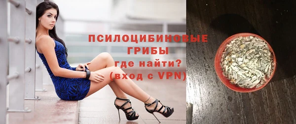 спиды Богородицк