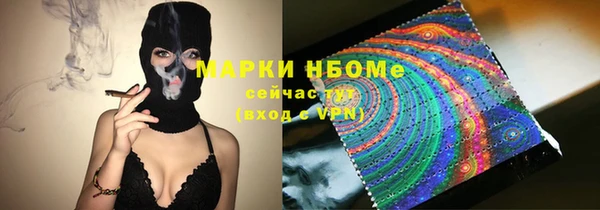 спиды Богородицк
