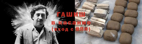 спиды Богородицк