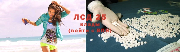 спиды Богородицк