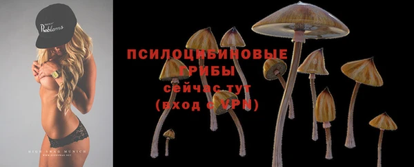 спиды Богородицк