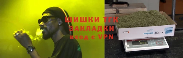 спиды Богородицк