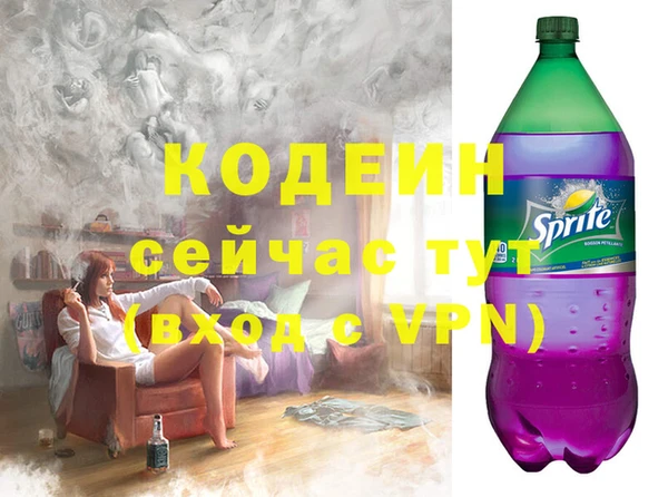 спиды Богородицк