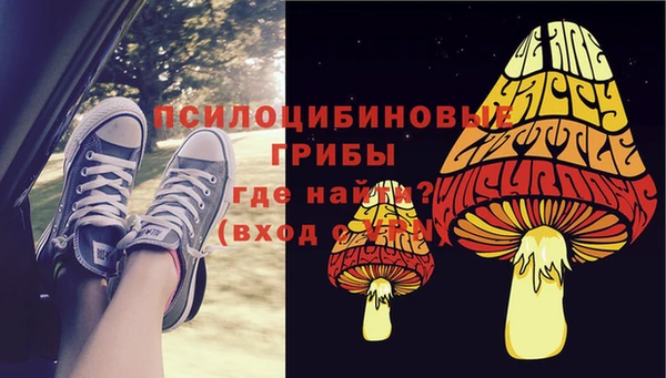мдма Богородск