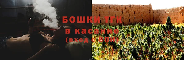спиды Богородицк