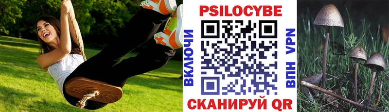 Псилоцибиновые грибы Psilocybine cubensis  Егорьевск 